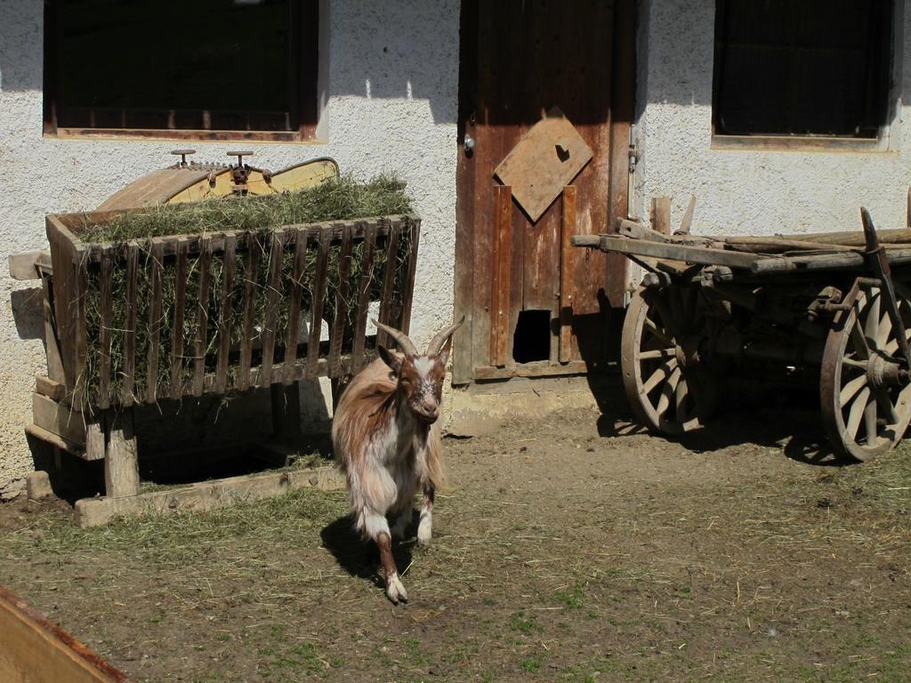 Willa Fertinghof Wildschoenau Zewnętrze zdjęcie